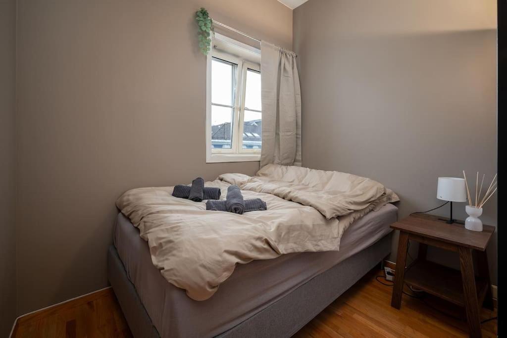 Studio Apt In City Centre 特隆赫姆 外观 照片